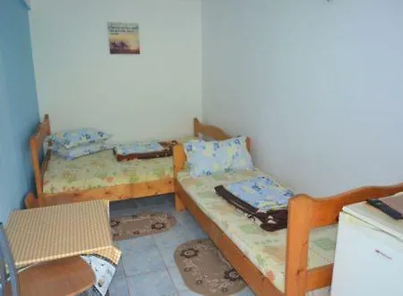 Pensionat Vila Alex Si Luci